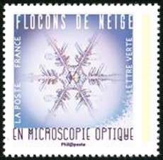  Flocons de neige en microscopie optique 