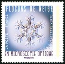  Flocons de neige en microscopie optique 