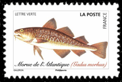  Poissons de mer 