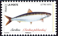  Poissons de mer 