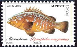  Poissons de mer 