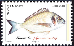  Poissons de mer 