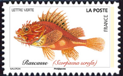  Poissons de mer 