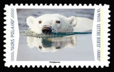  Animaux du monde «Reflets» - Ours polaire 