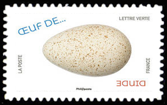  Œuf d’oiseau 