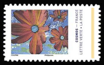  Les couleurs du Cosmos 
