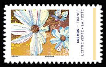  Les couleurs du Cosmos 