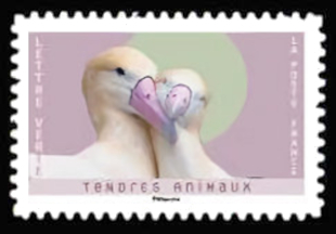 Tendres