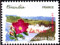 Flore des régions 