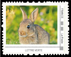 Lapins