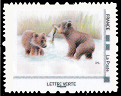  L'ours brun est omnivore 