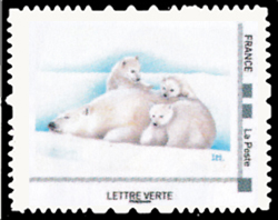  L'ours blanc est carnivore 