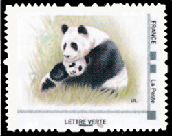  Le Panda est herbivore 