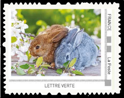 Lapins