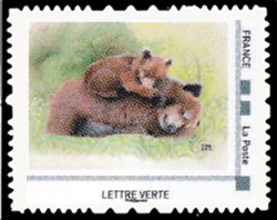  L'ours brun est omnivore 