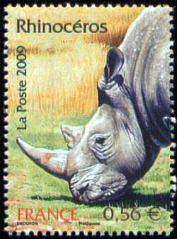  Animaux en danger (le rhinocéros) 
