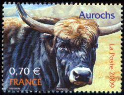  Animaux en danger (l'aurochs) 