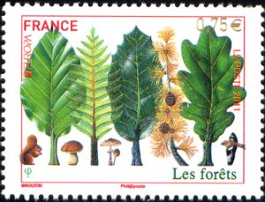  Europa - Les forêts 