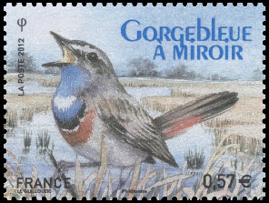  Gorgebleue à miroir - Ligue de Protection des Oiseaux - LPO 1912-2012 