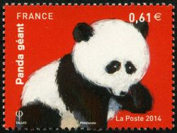  Les ours (Panda) 