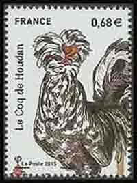  Les coqs de France (coq de Houdan) 