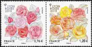  Lyon roses 2015 