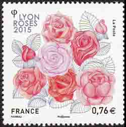  Lyon roses 2015 