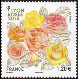  Lyon roses 2015 