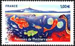  Euromed, Poissons de Méditerranée 