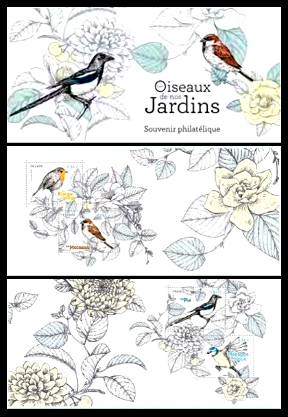  Les oiseaux de nos jardins 