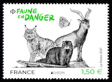  FAUNE EN DANGER 