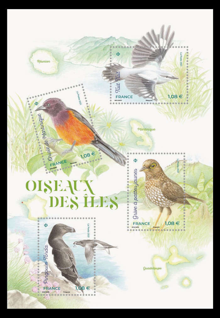 Oiseaux