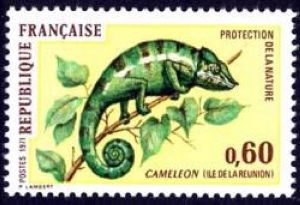 Caméléon