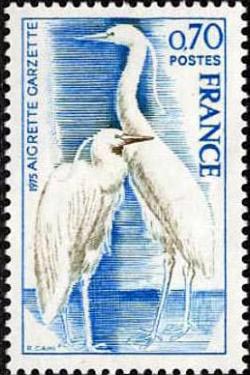 Aigrette