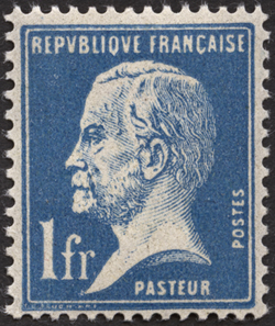  Type Pasteur 