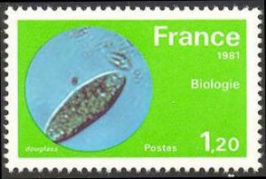  Biologie (micro organisme en évolution) 