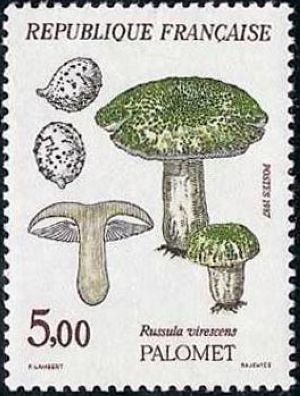 Champignons