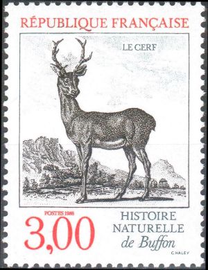  Histoire naturelle de Buffon - Le cerf 