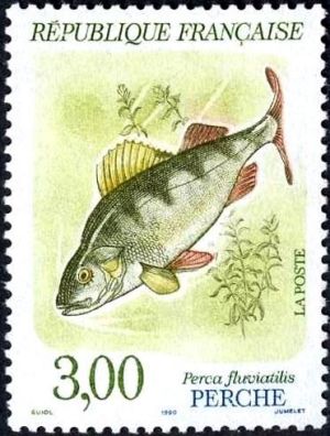  Poissons d'eau douce - Perche 