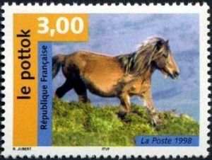  Nature de France : Chevaux, Le Pottok 