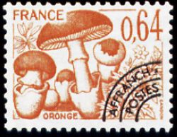  Champignons préoblitéré 