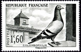 Colombophilie/